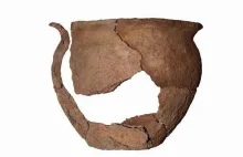 Niezwykle rzadki pochówek odkryto w Chodliku..