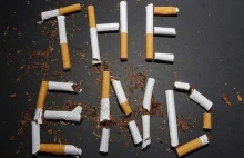 Palenie papierosów w czasie pracy: Coraz więcej firm wprowadza całkowity zakaz
