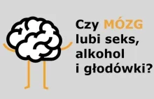 Co lubi mózg? [Na pamięć