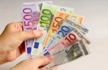 Holendrzy proponują neuro zamiast euro
