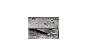 Lunochód 2 na zdjęciach LRO