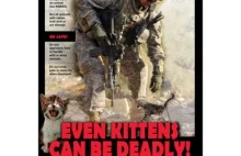 Nowy śmiertelny wróg żołnierzy w Afganistanie - psy i koty!