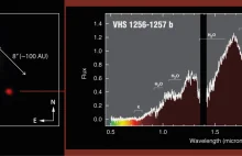 Bezpośrednie zdjęcie masywnej planety pozasłonecznej wykonane przez Polaków
