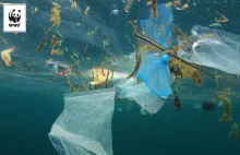 Australia w 3 miesiące ograniczyła zużycie plastikowych toreb o 80%