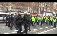Protesty w Paryżu - polski akcent