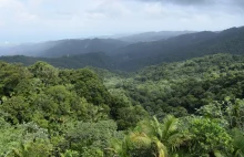 Jedyny las tropikalny w USA - El Yunque, Karaiby