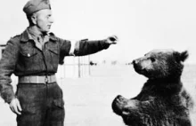 Kapral Wojtek, the Soldier Bear