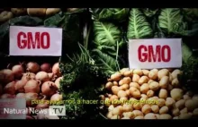 STOP GMO