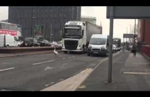Swan Disrupting Traffic In Manchester [Edit