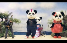 Gitarzysta Motorhead ma nowy zespół: Panda Party