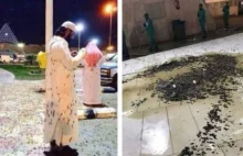 Wielki Meczet w Mekce zaatakowany przez chmary szarańczy.