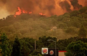 Pożary Amazonii to nic nowego. Lista "zagład" klimatycznych w dziejach świata