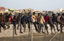 Węgry odgradzają się od Serbii murem przez obawy o zalew imigrantów