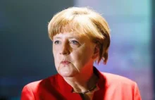 Świński ryj z obraźliwym napisem podrzucony pod biurem Angeli Merkel