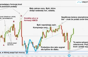 Jak czytać wykresy akcji i Forex? Czy wykres prawdę powie?