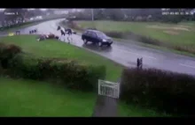 Samochód potrącił dwóch jeźdźców na koniach