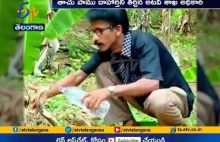 Indyjski leśniczy próbujący napoić spragnioną kobrę