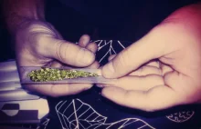 Vetulani: Marihuana jest bezpieczniejsza od fistaszków