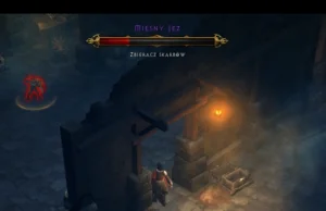 Mięsny Jeż w Diablo III