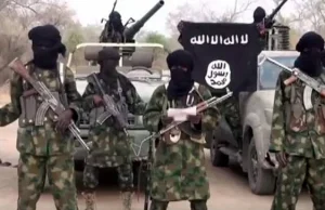 Terroryści z Boko Haram zwolnili porwane dziewczynki