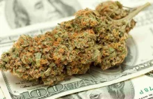Globalna sprzedaż legalnej marihuany w 2019r. wzrosła o 48% do 15mld $