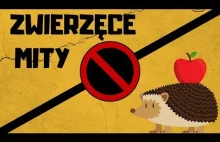 Kameleony, jeże... i inne mity