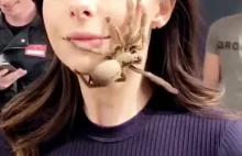 Całowanie z pająkiem ( ͡° ͜ʖ ͡°)