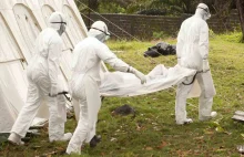 Wirus Ebola już w Europie. Zarażony chłopiec w Belgii