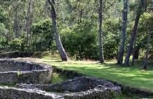 Rolnik z opolszczyzny zrównał z ziemią mające 700 lat kamienne ruiny