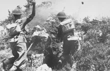 Polacy pod Monte Cassino – uzbrojenie i taktyka