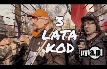 Urodziny KOD | pyta.pl