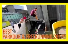 The World's Best Parkour & Freerunning compilation 2017