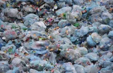 Tysiące ton śmieci z województwa do przerobu w środku Łodzi