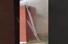 Szopy uciekają z płonącego budynku po drabinie