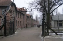 Turysta próbował wywieźć drut kolczasty z obozu w Auschwitz