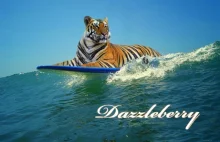Tygrysy na deskach surfingowych