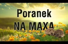 MOTYWACJA, DZIEŃ JEŻA - PORANEK NA MAXA #2