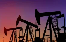 Niskie ceny uderzają w nigeryjskich złodziei ropy [eng]
