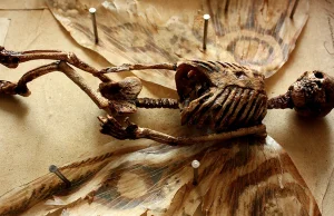 Dziwaczne, przerażające szkielety odkryte w piwnicy w Londynie.