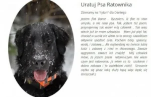 Ratownicy z Nowego Sącza zbierają pieniądze na leczenie psa ratownika