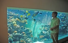 Gigantyczne domowe akwarium morskie o pojemności 30000l.