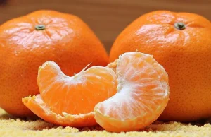 Bruksela zakazuje wwożenia cytryn i pomarańczy