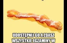 Bekon szczęścia