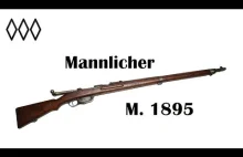Historia Mannlichera M.1895 - Irytujący Historyk