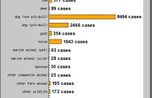 Najczęściej maltretowane zwierzęta (statystyka)