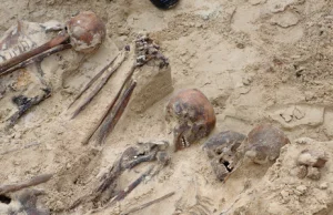Płock: Na średniowiecznym cmentarzu odkryto drugą warstwę grobów