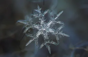 Makro zdjęcia płatków śniegu