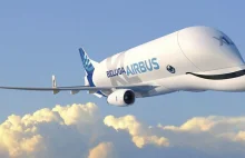 Oto najnowszy Airbus BelugaXL. Pierwszy egzemplarz zjechał z taśmy...