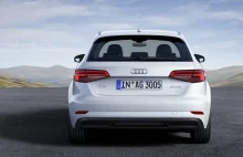 Audi rozpoczyna testy paliwa przyszłości