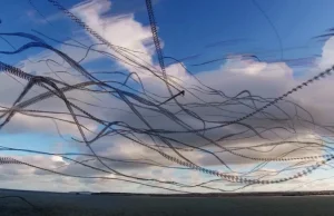 Seagull Skytrails